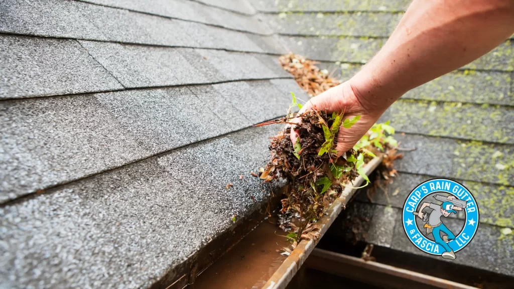 The Importance of Regular Gutter Maintenance for Homeowners